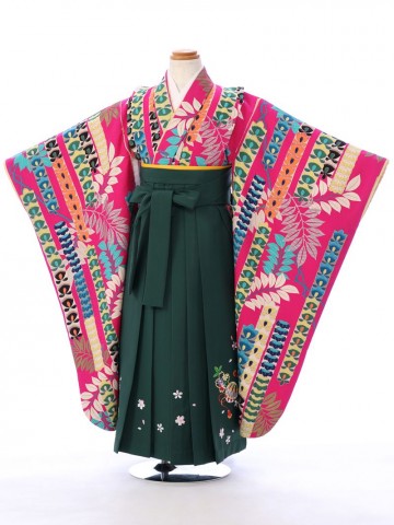 袴　レンタル　卒園式　女の子　マゼンダの美しい着物です