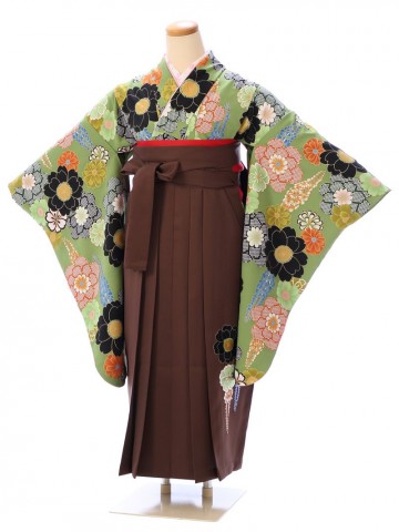 桜　花紋柄の卒業式袴フルセット(抹茶系)|女の子(小学生袴)　