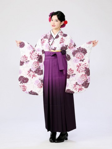 NICOLE(ニコル)ブランド菊柄の卒業式袴フルセット(紫系)|卒業袴(普通サイズ)