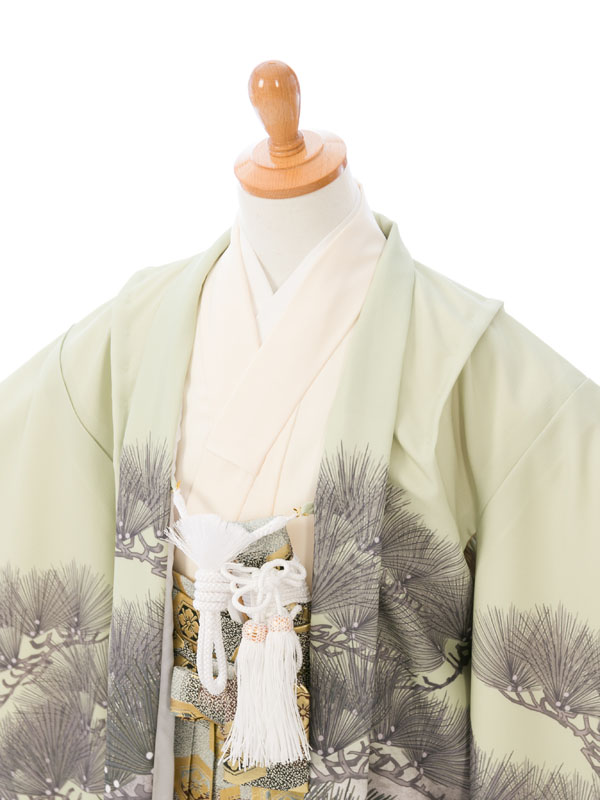 レンタル着物|羽織袴セット|5歳男|七五三着物レンタルフルセット(グリーン系 )|男の子(五歳)