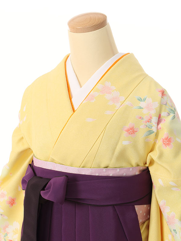 桜づくし柄の卒業式袴フルセット(黄色系)|卒業袴(普通サイズ)