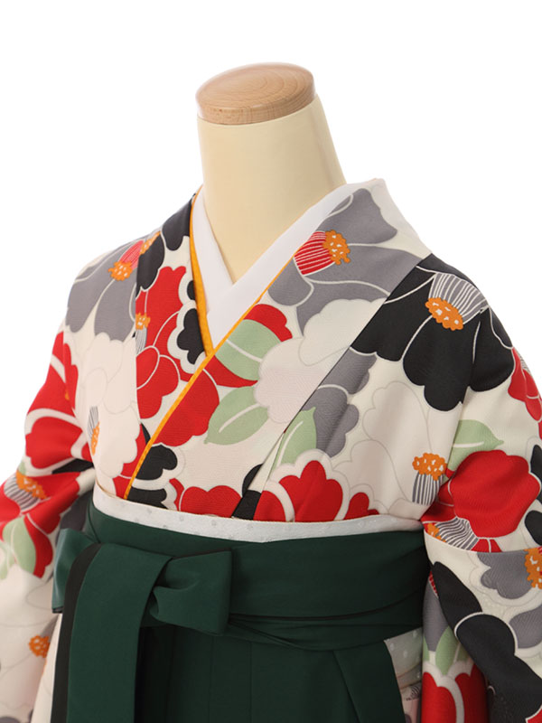 懐かしレトロ椿づくし柄の卒業式袴フルセット(多色系)|卒業袴(普通サイズ)