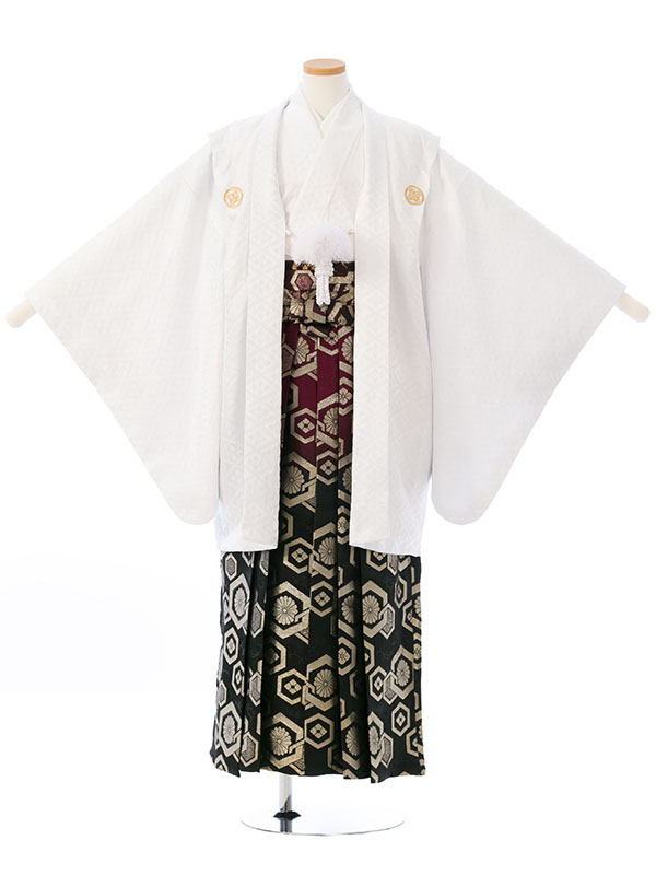 ジュニア紋付き羽織袴　白地　レンタル　小学校　卒業式には袴スタイルでどうぞ!