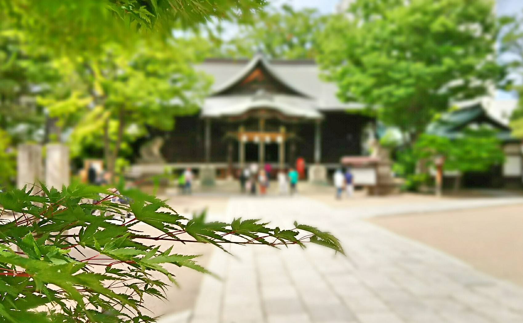 お宮参り(お礼参り) や安産祈願は同じ神社じゃないとダメ？いつまでにするべきかも合わせて紹介！